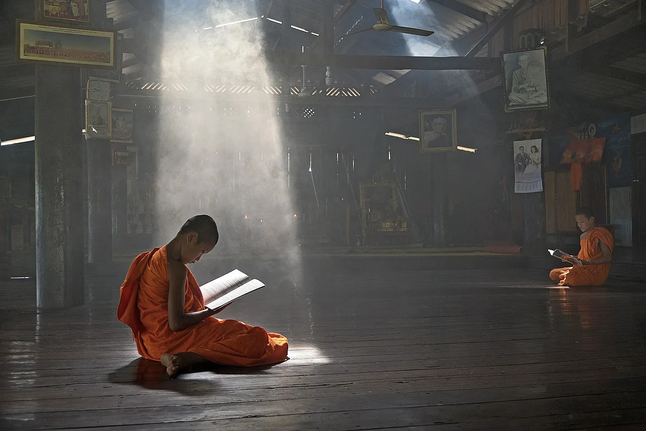 An evocative interpretation of The Yoga Sūtras